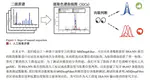 深度神经网络筛选蛋白质组学高置信度定量 肽段