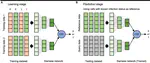 Identifying SARS-CoV-2 infected cells with scVDN