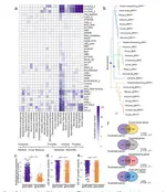 A comprehensive atlas of epigenetic regulators reveals tissue-specific epigenetic regulation patterns